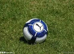 狼队能否终,结纽卡斯尔,不败传奇,亚博体育app下载,亚博体育官网,亚博体育官方网站,亚博体育平台