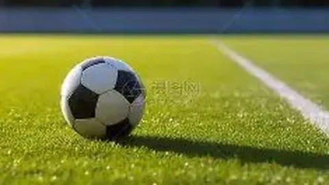 王钰栋华丽转身！前莱万、拜尔御用经纪公司，旗下球星遍布德瑞足球盛宴！